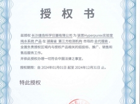 骇思2024授权书